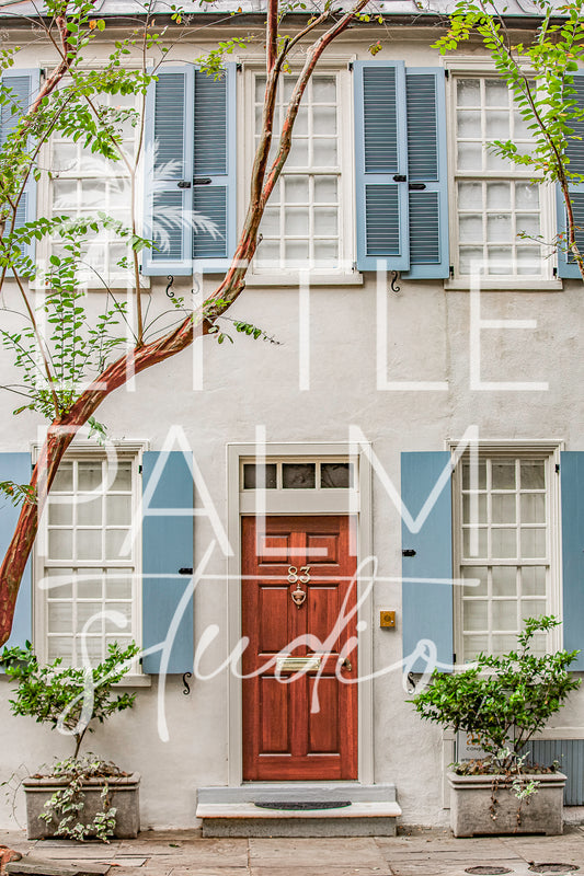 Charleston Charm - Streets and Strolls 5