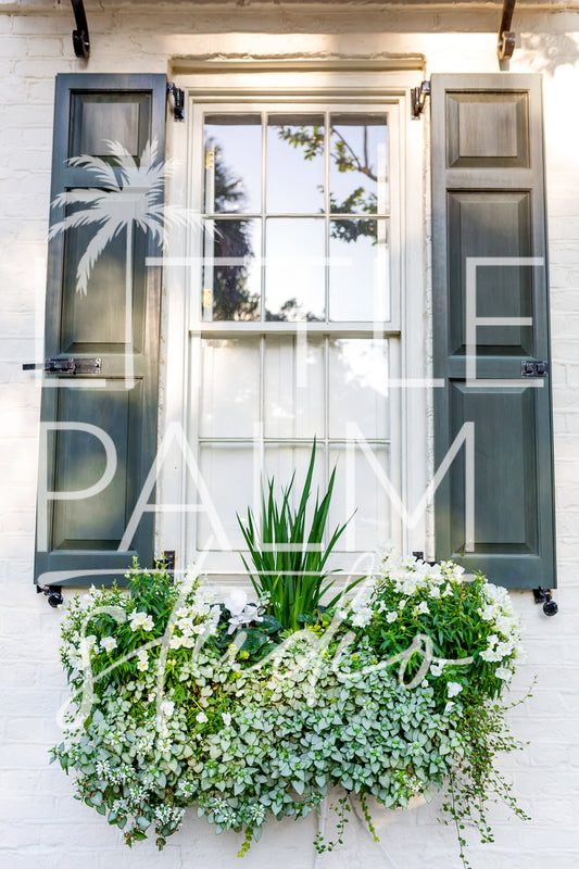 Charleston Charm - Window Box 1