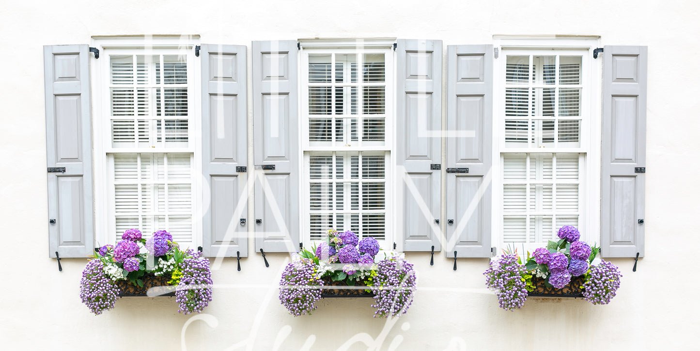 Charleston Charm - Window Box 4