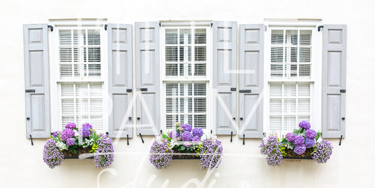 Charleston Charm - Window Box 4