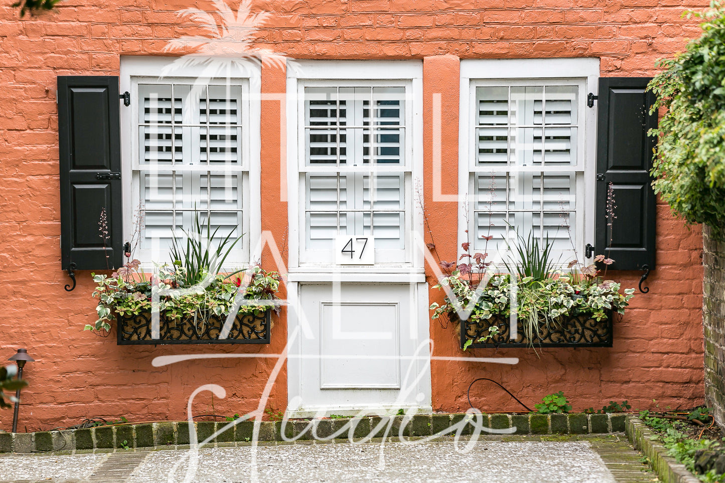 Charleston Charm - Window Box 5