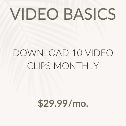 Video Basics